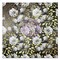 Magnolia Rouge Collection 12x12 Sheet - Magnolia Galore - 10 sheet 12"x12", w foil details